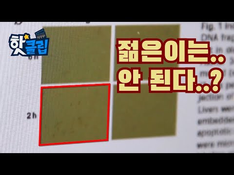 늙은 세포가 더 강하다? [핫클립] / YTN 사이언스