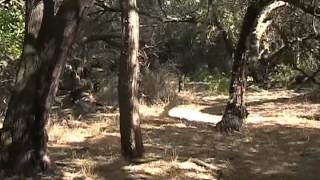 War. War Always Changes.