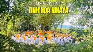 Tinh Hoa NIKAYA - Làm Bạn Với Thiện *