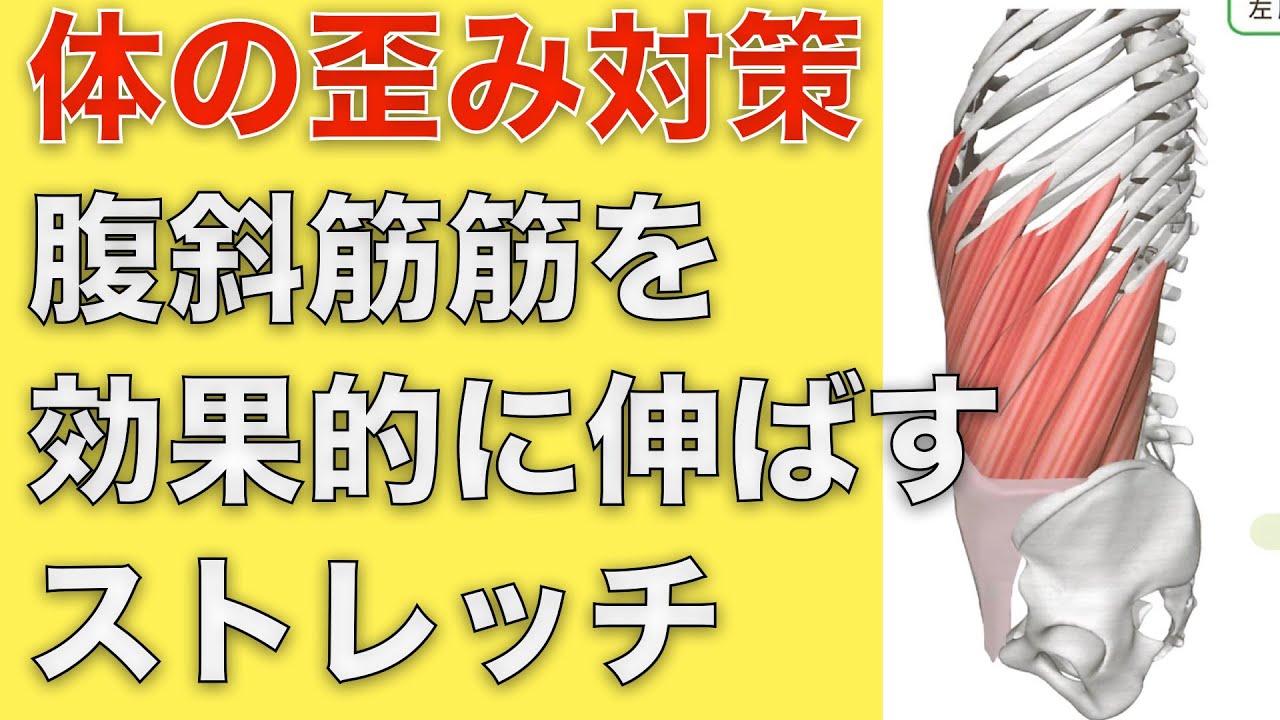 姿勢の歪み対策 腹斜筋を効果的に伸ばすやさしいストレッチ法 パーソナルトレーナー指導 Youtube