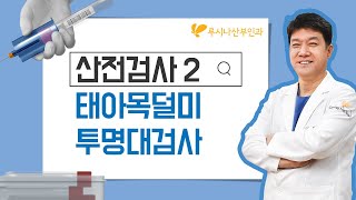 Lecture 11 Prenatal Screening 2. Nuchal Translucency Scan