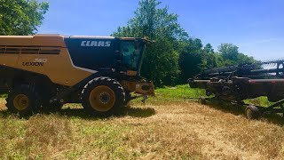 2019 Wheat Harvest day 6