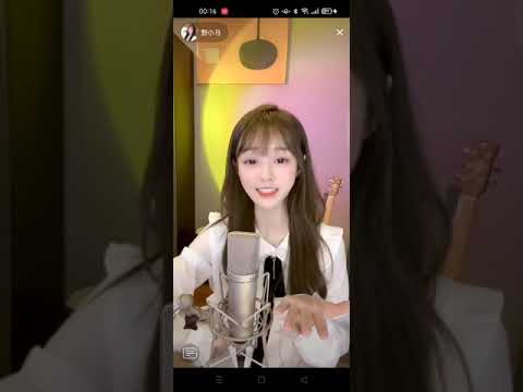 野小馬 一笑傾城