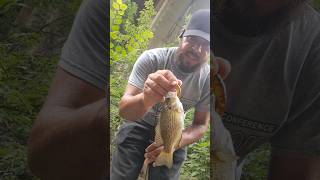 Small lures crankbait/jerkbait ideal for shallow creek #fishing #fishinglures#crankbaits#jerkbaits