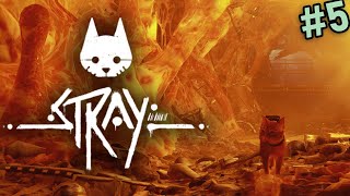 STRAY | Zurk Rush #5 [FULL PLAYTHROUGH] @yogscastkim