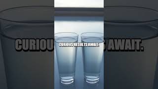 The Memory of Water Experiment