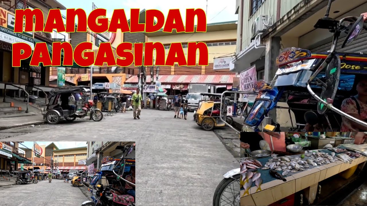 Visiting Mangaldan Pangasinan Public market | Fresh vegetables at seafoods available