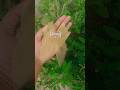hater kaj vidio vairal #art #song #love hater kaj vidio #diy hater kaj vidio vairal sorts vidio