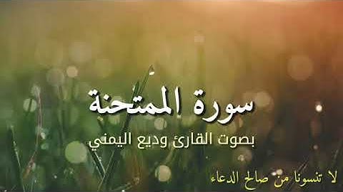 سورة الممتحنة بصوت القارئ وديع اليمني