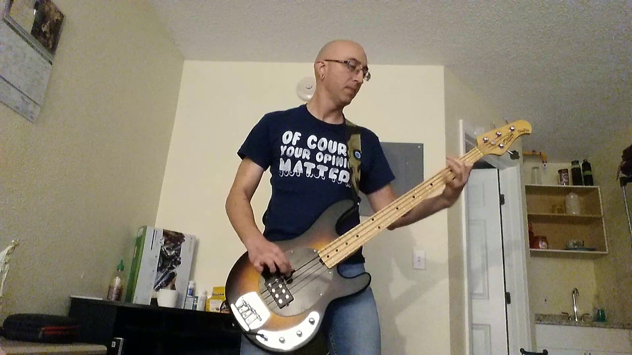 Metallica disposable hero's (bass cover) YouTube