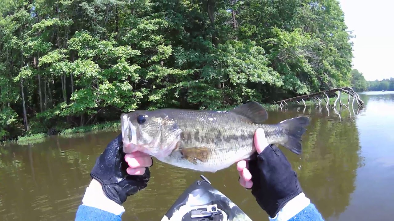 Kayak Fishing Burke Lake Fairfax County Virginia May 19, 2019 YouTube