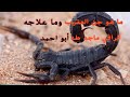 ما هو جن العقرب وما علاجه ماجد طه أبو احمد 