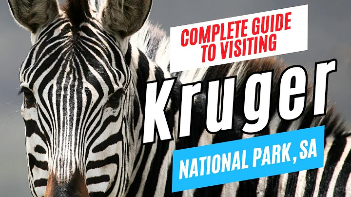 KRUGER NATIONAL PARK Travel Guide, South Africa | Tour Guide Interview | Plan Your Visit