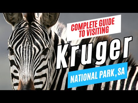 Video: Kruger National Park Wilderness Trails: la guía completa