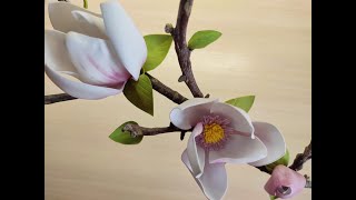 видео: Реалистичная магнолия из фоамирана без молдов. Легко. flower magnolia from foam. Цветы из фоамирана картинка: Реалистичная магнолия из фоамирана без молдов. Легко. flower magnolia from foam. Цветы из фоамирана