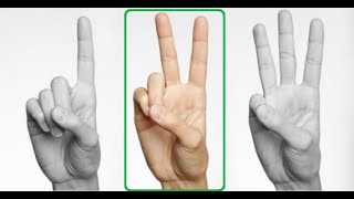 VB.net-Intermediate Level 2