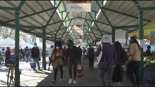 Downtown Davis and Farmers Market