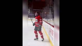Calder Cup Finals Clips for edits, Abbotsford Canucks and Charlotte Checkers #ahlclipsforedits