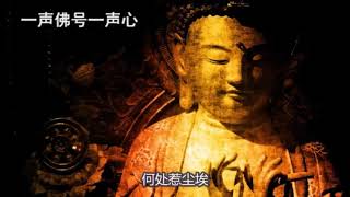 一首佛歌《菩提本无树》常听可见心性，愿你远离一切烦恼