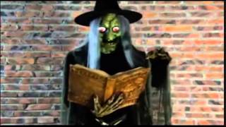 Life Size Animated Wicked Witch Speaking Spells Talking Moving Halloween Prop Decoration