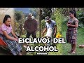ESCLAVOS DEL ALCOHOL reflexión