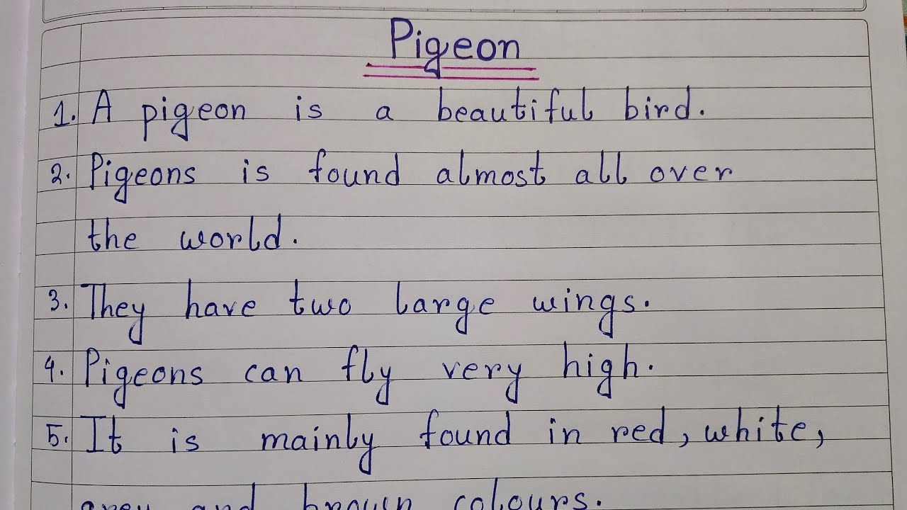 pigeon english essay example