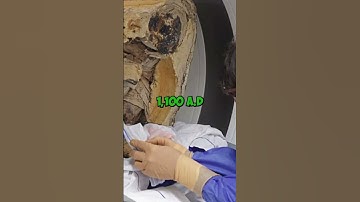 Mummified Monk Discovered Inside 1,000-Year-Old Buddha Statue