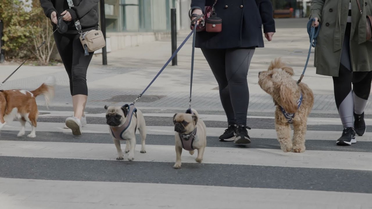 Clubs, groups and events with Get Living