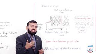 Class 9 - Biology - Chapter 9 - Lecture 1 Introduction of Transport - Allied Schools