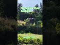 Farmhouse plots pune 9923317757 #punecity #dam #trendingshorts #trendingreels #farmhouse #trendingsh