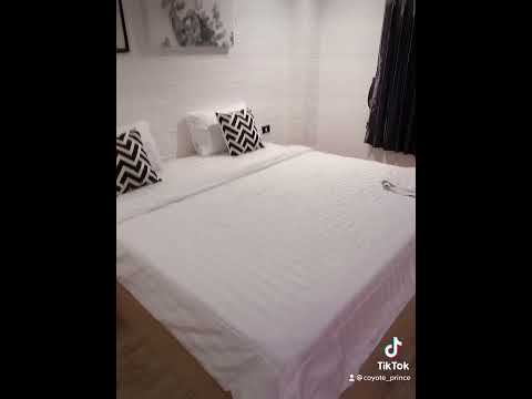 ผลสลากกินแบ่งรัฐบาล วันที่ 1 พย. 2567