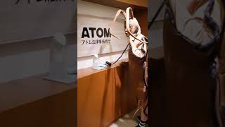 ゴキブリが法律相談しにきたwww#Shorts