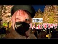 【新宿御苑】カップルだらけの紅葉狩りに1人で突入して最高💥🏃‍♂️【ライトアップ】