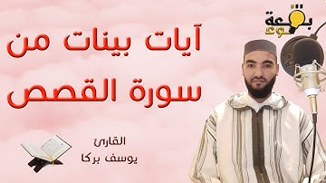 آيات بينات من سورة القصص || القارئ يوسف بركا