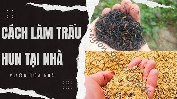 Cách làm trấu hun đơn giản tại nhà #vuoncuanga #trauhun