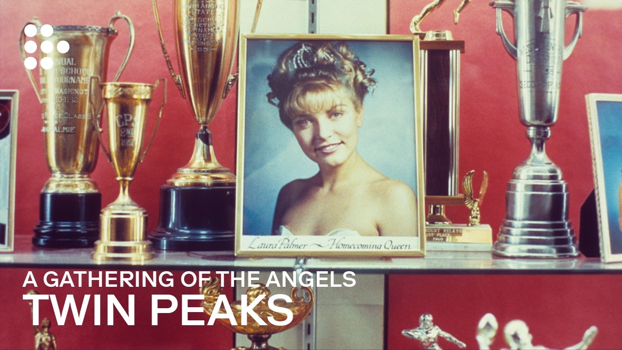 TWIN PEAKS | Super Fan Tribute | Now Streaming