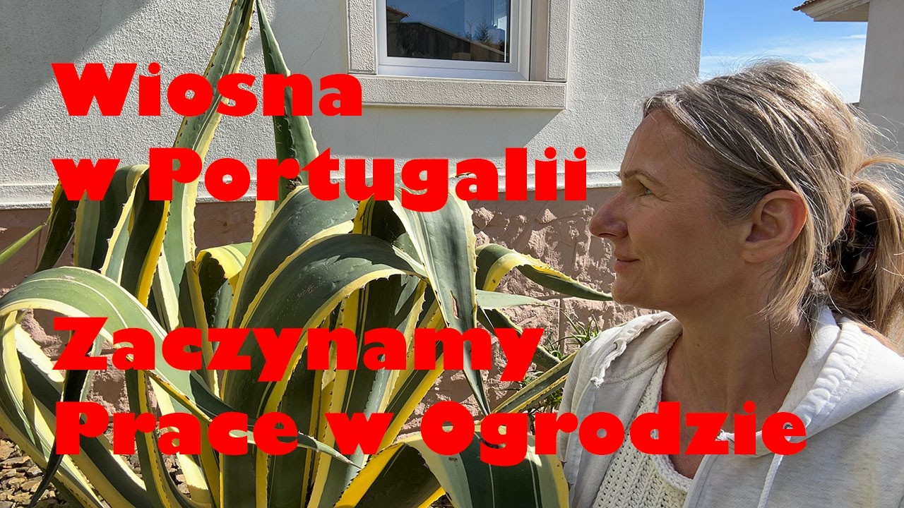 🌸 Wiosna w Portugalii! Czas zacząć prace w ogrodzie 🌿