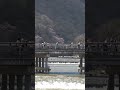 京都嵐山【渡月橋】浮世繪名作中的風景 #京都觀光 #旅行 #嵐山