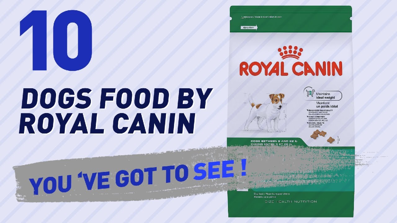 dog food orijen Dogs Food By Royal Canin // Top 10 Most Popular