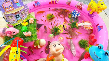 Bạch Tuộc,Hải Cẩu,Cá Đuối,Cá Mập,Cá Heo,Cá Voi,Sứa,Rắn,Cua,San Hô,Con Trâu,Con Bò,Con Rùa,Con Lợn…