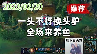 东北大鹌鹑0220P4安妮(推荐):一头不行换头驴,全场来养鱼