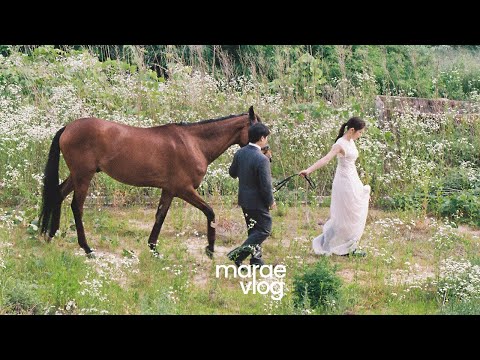 웨딩촬영 Vlog 💓 승마 커플이 사랑하는 말 '미티'와 함께한 특별한 촬영