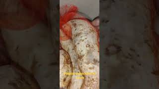 "Making Life Easier By Shopping Online!"#shorts #short#shortvideo #shortsfeed #support #subscribe