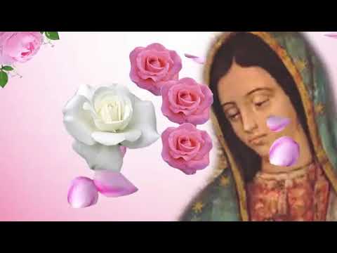 Rosario por todos nuestros familiares difuntos en especial por el descanso de Lorenza Jaramillo