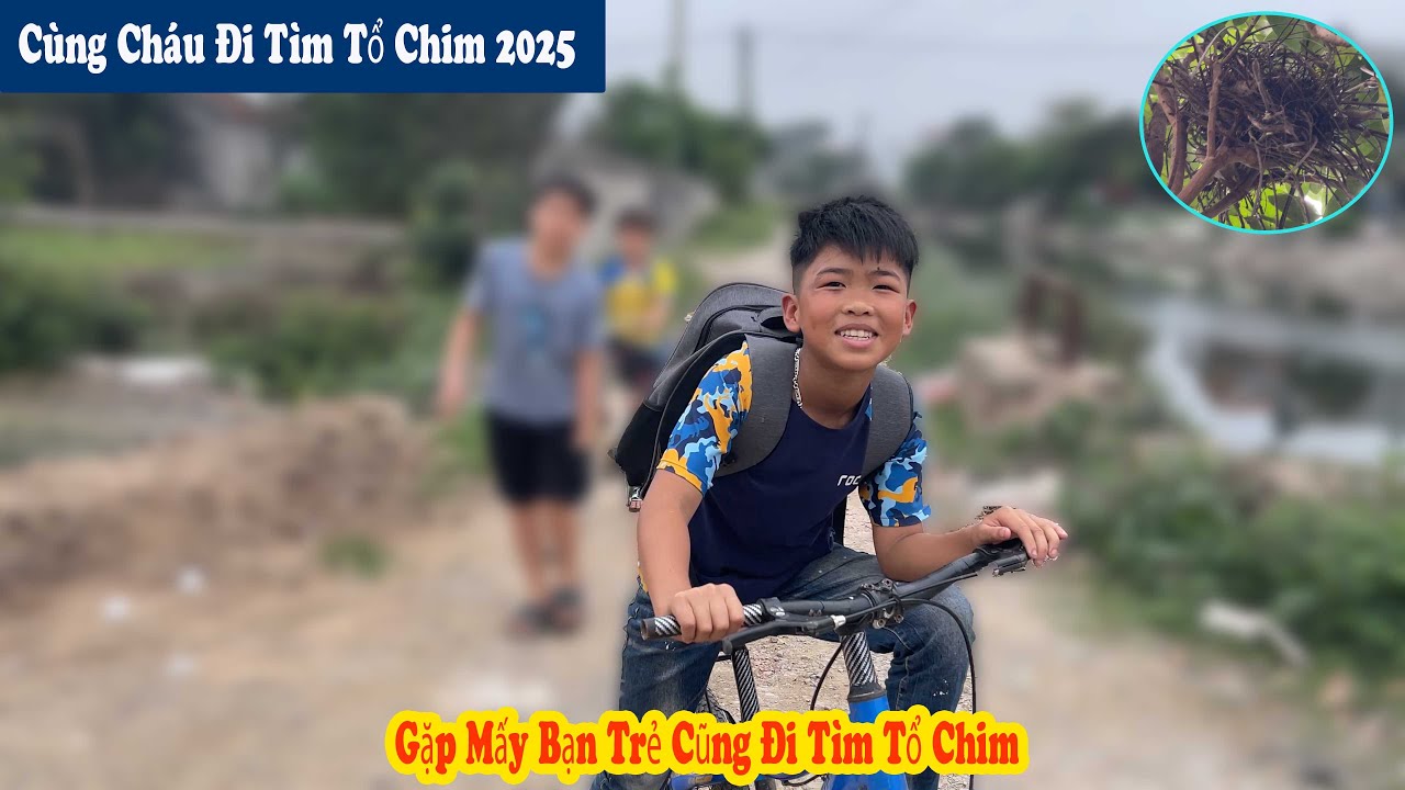 Cùng Chú Cháu Đi Tìm Tổ Chim Và Gặp Mấy Thanh Nhiên Cũng Đang Đi Soi Tổ // Chiến Ơi