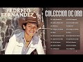 Pedrito Fernandez Sus Grandes Exitos - 20 Grandes Exitos De Pedrito Fernandez Rancheras De Oro