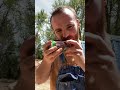 How to shotgun a beer
