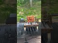 I bet you've never seen a barbecue grill powered by a power bank like this one.