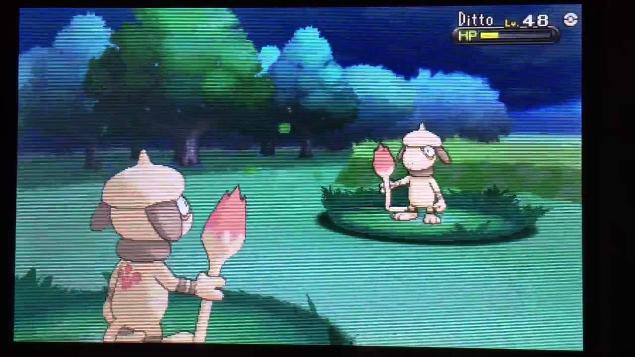 Shiny Ditto Pokeradar (133 Chain)