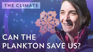 Plankton - important for the climate
